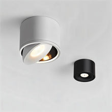 Cargar imagen en el visor de la galería, Jannis Downlight
