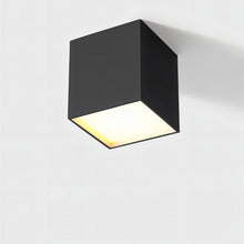 Load image into Gallery viewer, Kaiden Downlight
