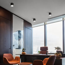 Load image into Gallery viewer, Kaiden Downlight
