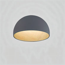 Carregar imagem no visualizador da galeria, Kaimana Ceiling Light
