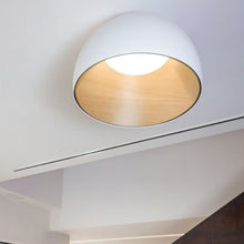 Carregar imagem no visualizador da galeria, Kaimana Ceiling Light
