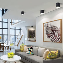 Load image into Gallery viewer, Kelis Downlight
