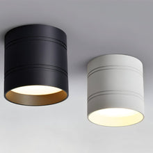 Load image into Gallery viewer, Kelis Downlight
