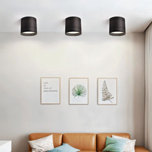 Load image into Gallery viewer, Kelis Downlight
