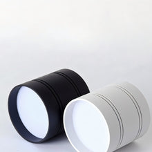 Load image into Gallery viewer, Kelis Downlight
