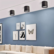 Load image into Gallery viewer, Kelis Downlight
