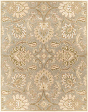 Cargar imagen en el visor de la galería, Chesterton Hand Tufted Ivory 1111 Area Rug

