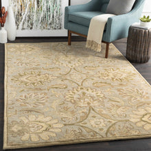 Cargar imagen en el visor de la galería, Chesterton Hand Tufted Ivory 1111 Area Rug
