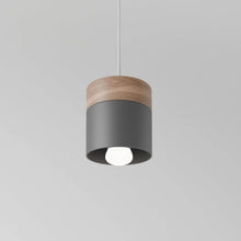 Cargar imagen en el visor de la galería, Laetus Pendant Light
