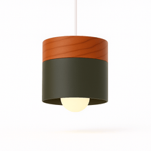 Load image into Gallery viewer, Laetus Pendant Light
