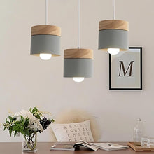 Cargar imagen en el visor de la galería, Laetus Pendant Light
