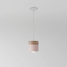 Cargar imagen en el visor de la galería, Laetus Pendant Light
