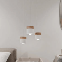 Cargar imagen en el visor de la galería, Laetus Pendant Light
