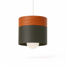 Load image into Gallery viewer, Laetus Pendant Light
