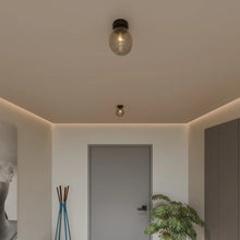 Carregar imagem no visualizador da galeria, Lance Ceiling Light
