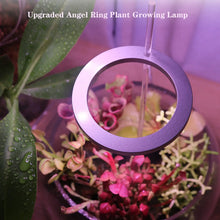 Carregar imagem no visualizador da galeria, LED Grow Light Full Spectrum Angel Ring USB Lamp for Indoor Plants
