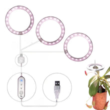 Carregar imagem no visualizador da galeria, LED Grow Light Full Spectrum Angel Ring USB Lamp for Indoor Plants

