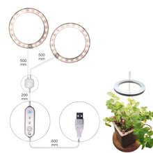 Carregar imagem no visualizador da galeria, LED Grow Light Full Spectrum Angel Ring USB Lamp for Indoor Plants
