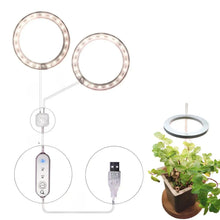 Carregar imagem no visualizador da galeria, LED Grow Light Full Spectrum Angel Ring USB Lamp for Indoor Plants
