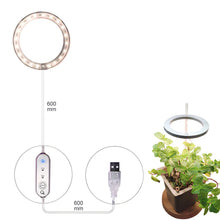 Carregar imagem no visualizador da galeria, LED Grow Light Full Spectrum Angel Ring USB Lamp for Indoor Plants
