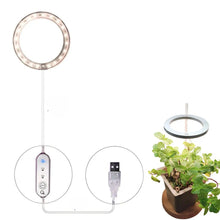 Carregar imagem no visualizador da galeria, LED Grow Light Full Spectrum Angel Ring USB Lamp for Indoor Plants
