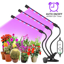 Carregar imagem no visualizador da galeria, LED Grow Light Lamp USB Phyto Full Spectrum
