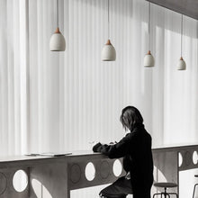 Load image into Gallery viewer, Levon Pendant Light
