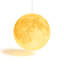 Load image into Gallery viewer, Lunar Pendant Light
