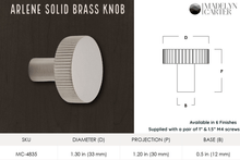 Load image into Gallery viewer, Madelyn Carter Cabinet Knobs &amp; Handles Arlene Solid Brass Cabinet Knob
