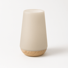 Load image into Gallery viewer, Halina Table Lamp
