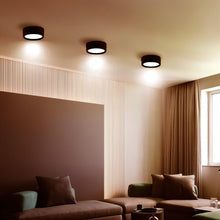 Load image into Gallery viewer, Melor Downlight
