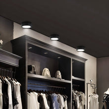 Load image into Gallery viewer, Melor Downlight
