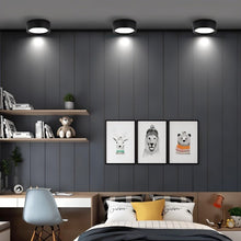 Load image into Gallery viewer, Melor Downlight
