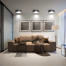 Load image into Gallery viewer, Melor Downlight
