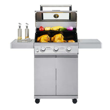 Load image into Gallery viewer, Mesa 300 | Stainless Propane Gas Grill
