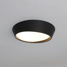 Carregar imagem no visualizador da galeria, Mia Ceiling Light
