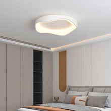 Carregar imagem no visualizador da galeria, Miray Ceiling Light
