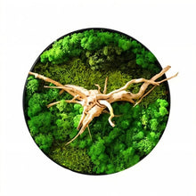 Carregar imagem no visualizador da galeria, Moss Wall Art
