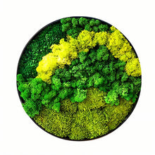 Carregar imagem no visualizador da galeria, Moss Wall Art
