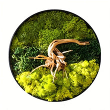 Carregar imagem no visualizador da galeria, Moss Wall Art
