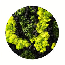 Carregar imagem no visualizador da galeria, Moss Wall Art
