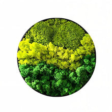 Carregar imagem no visualizador da galeria, Moss Wall Art
