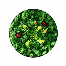 Carregar imagem no visualizador da galeria, Moss Wall Art
