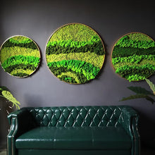 Carregar imagem no visualizador da galeria, Moss Wall Art
