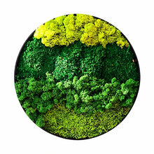 Carregar imagem no visualizador da galeria, Moss Wall Art
