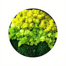 Carregar imagem no visualizador da galeria, Moss Wall Art
