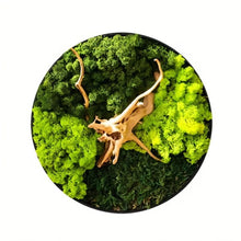 Carregar imagem no visualizador da galeria, Moss Wall Art
