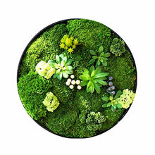 Carregar imagem no visualizador da galeria, Moss Wall Art
