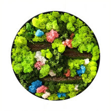 Carregar imagem no visualizador da galeria, Moss Wall Art
