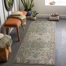Load image into Gallery viewer, Neyland Sage Green Area Rug
